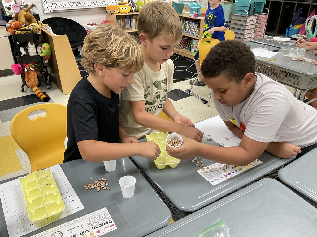 2nd grader math