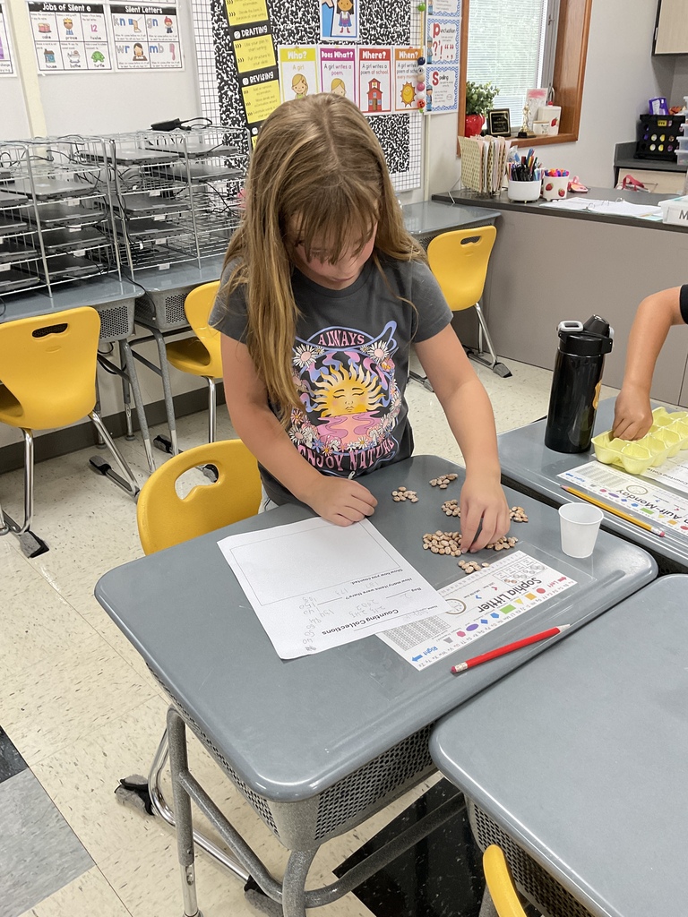 2nd grader math