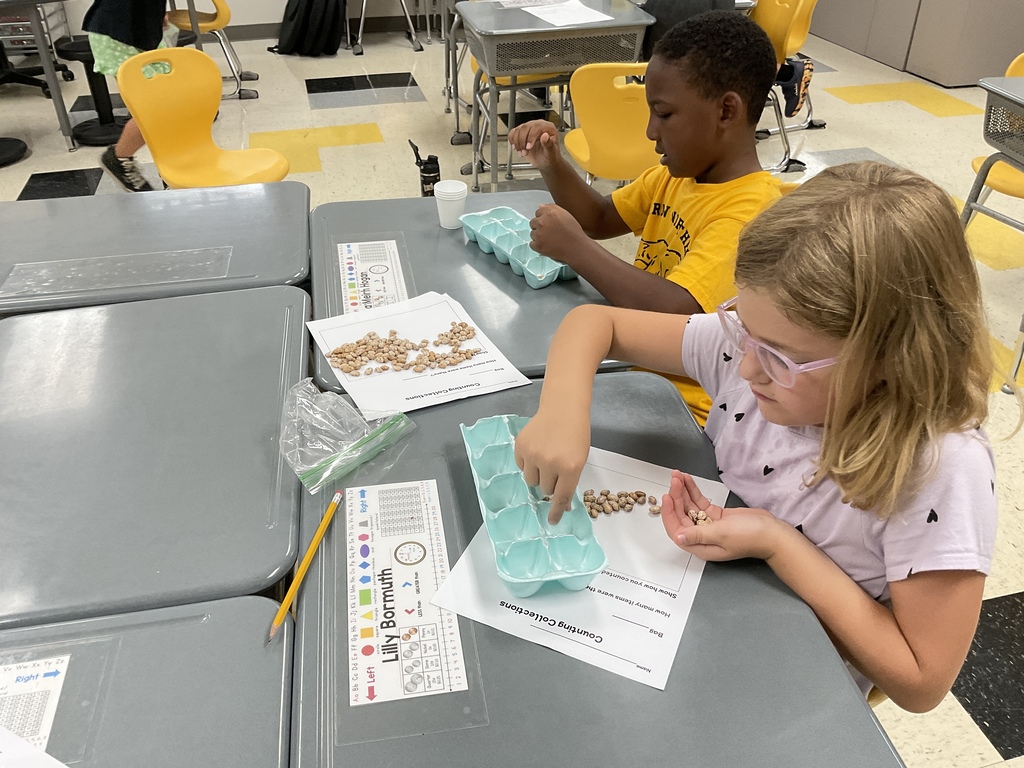 2nd grader math