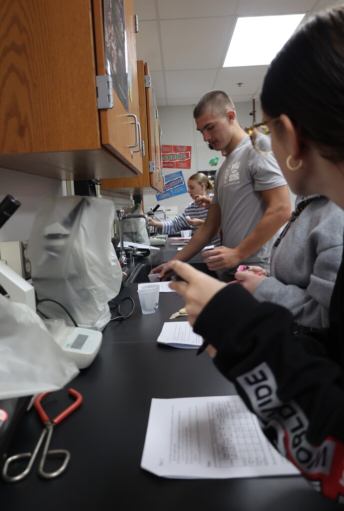 Biology 1 testing potatoes