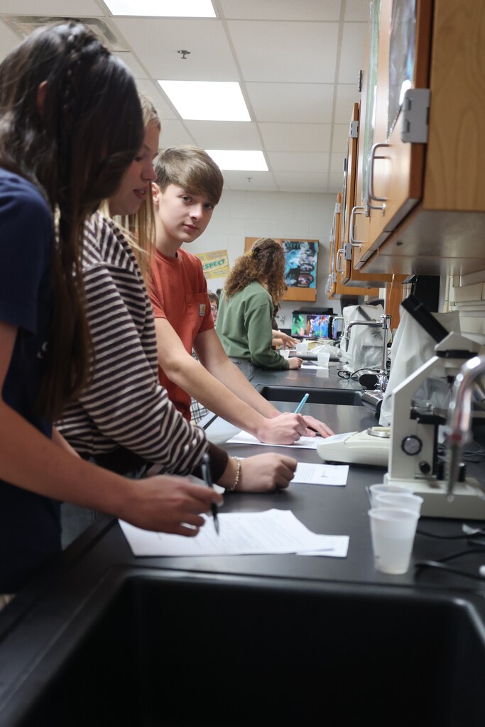 Biology 1 testing potatoes