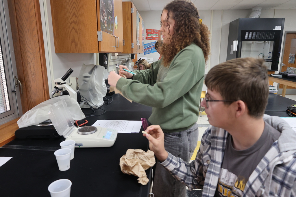 Biology 1 testing potatoes