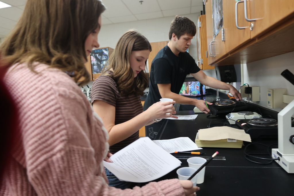 Biology 1 testing potatoes