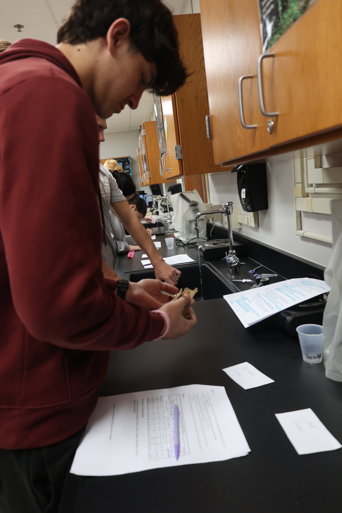 Biology 1 testing potatoes