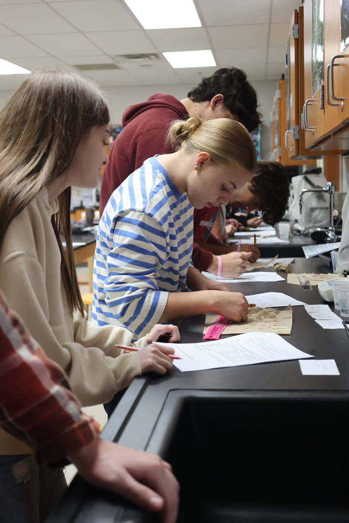 Biology 1 testing potatoes