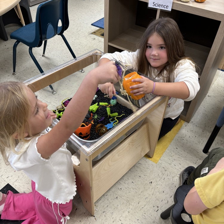 playing in the sensory bin
