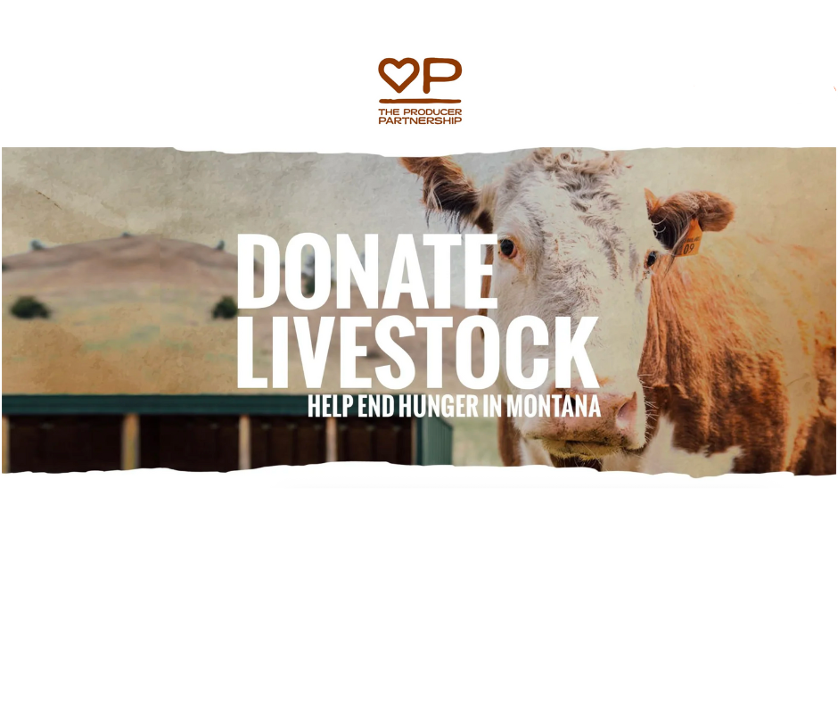 Donate Livestock graphic of a sweet cow face