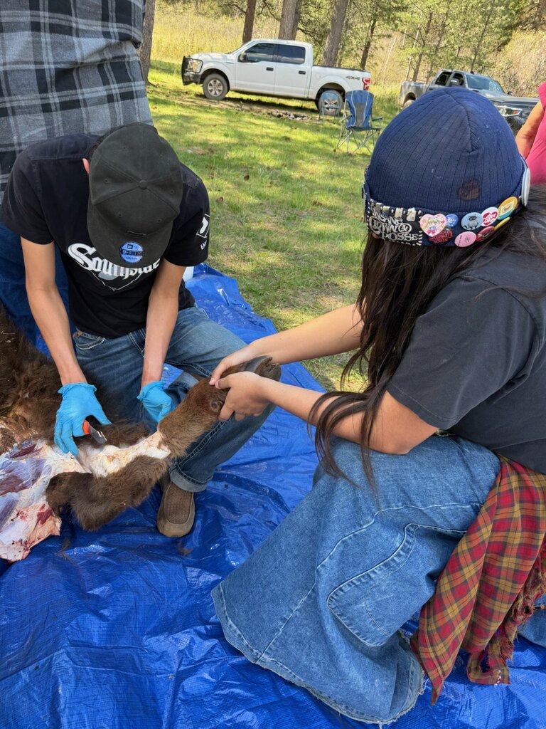 Skinning the buffalo 