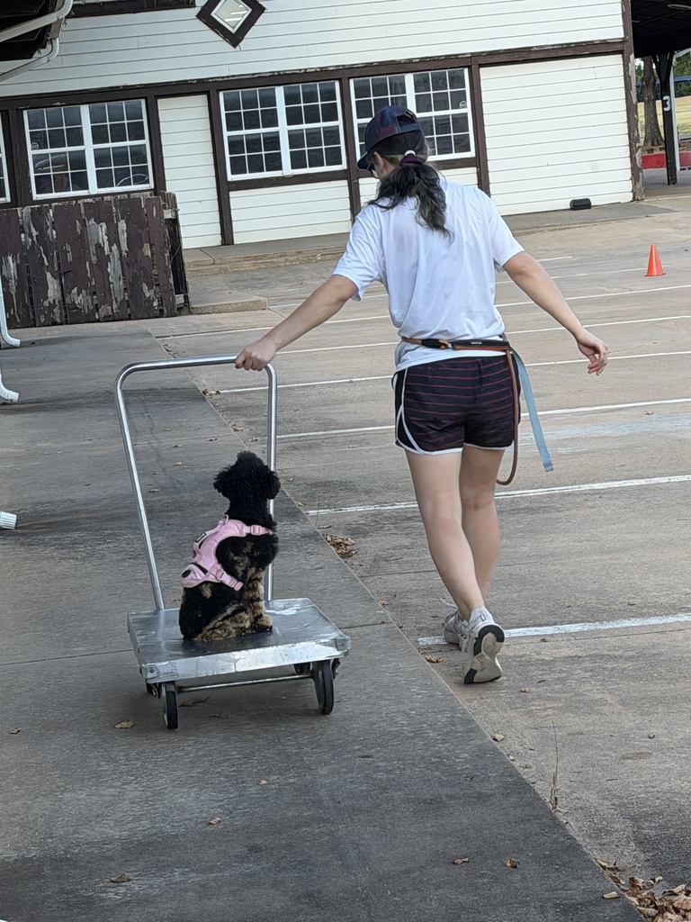 Family Workday