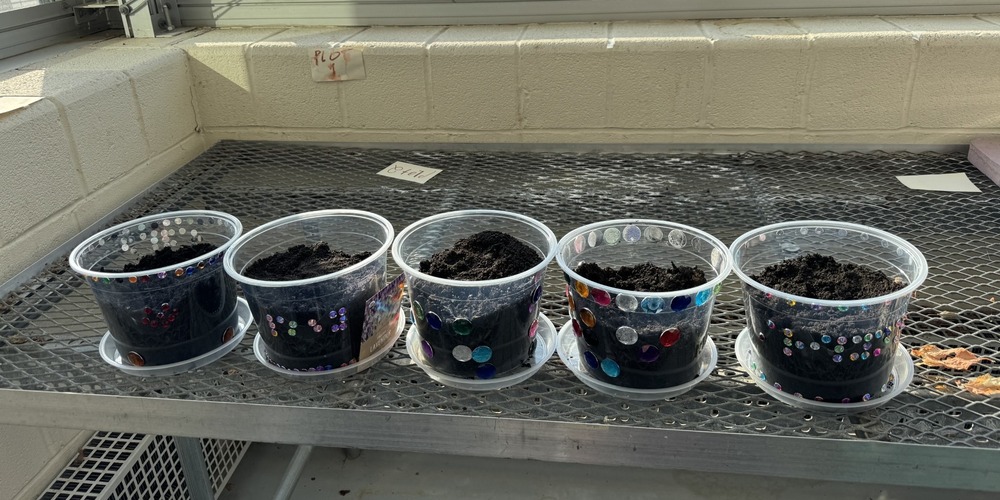 Collection of pots on a windowsill