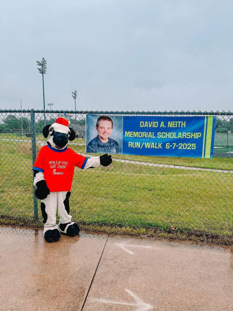 chik fil a cow at the 5k