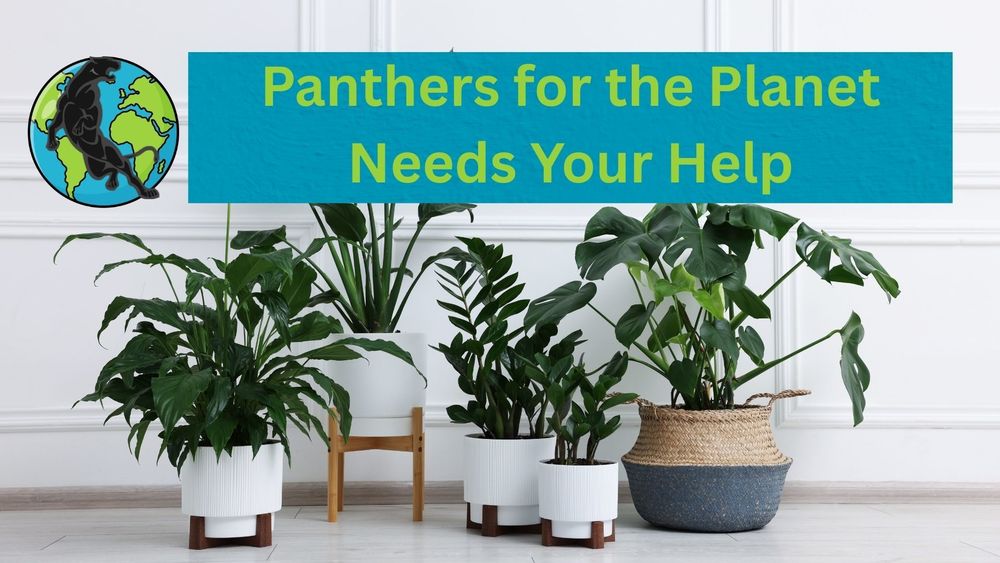 Panthers for the Planet Needs Your Help Image