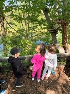 Students in nature