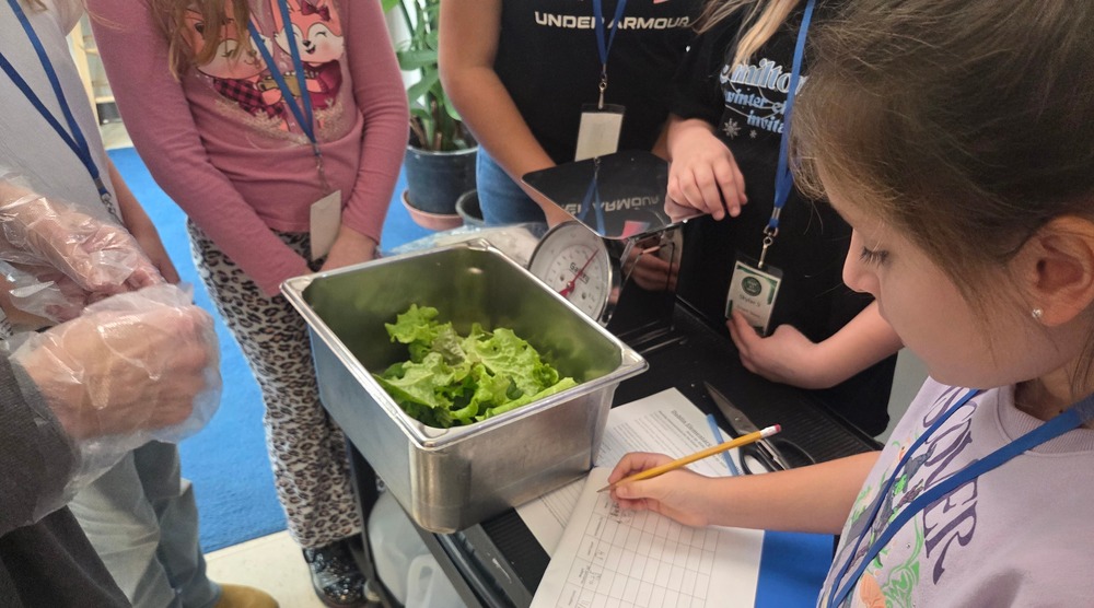 A student takes notes while looking at a bin full of lettuce