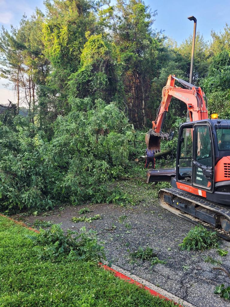 Backhoe removing part of a tree blocking a roadway.
