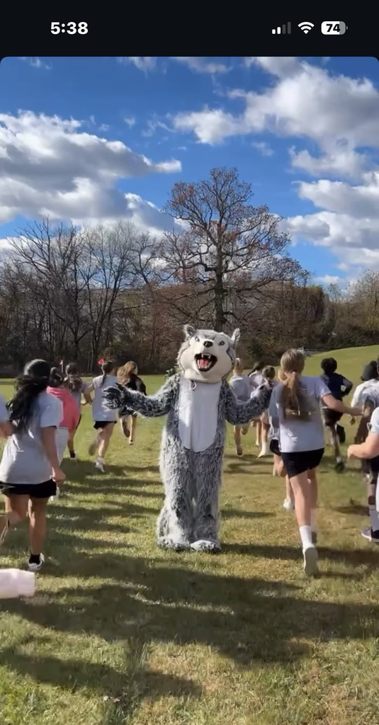Husky Mascot high-fiving runners