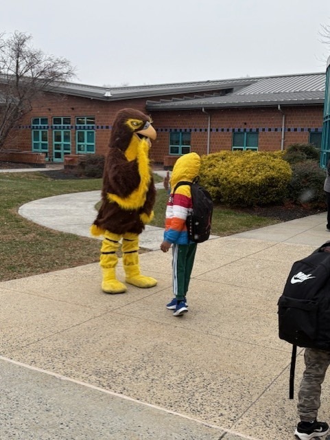 One of our Falcon students giving Fred the Falcon a high five as he enters the building!