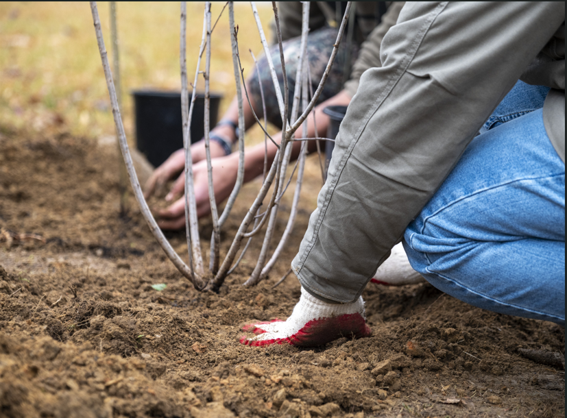 This tree planting was made possible through funding from Chesapeake Bay Trust and DNR’s 5 Million Trees for Maryland Program under an Urban Trees Grant.