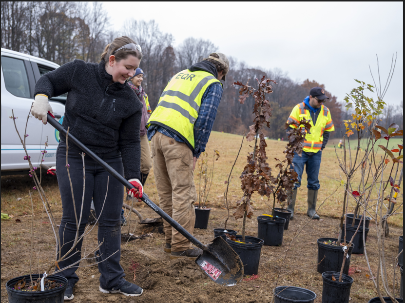 This tree planting was made possible through funding from Chesapeake Bay Trust and DNR’s 5 Million Trees for Maryland Program under an Urban Trees Grant.
