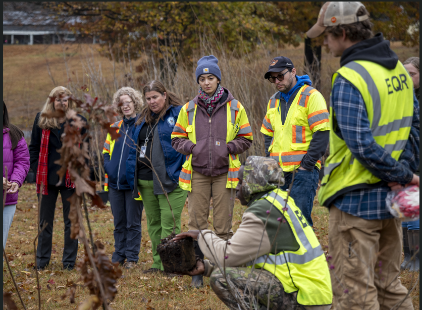 This tree planting was made possible through funding from Chesapeake Bay Trust and DNR’s 5 Million Trees for Maryland Program under an Urban Trees Grant.