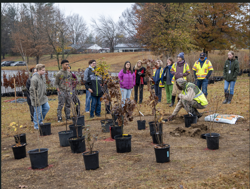 This tree planting was made possible through funding from Chesapeake Bay Trust and DNR’s 5 Million Trees for Maryland Program under an Urban Trees Grant.