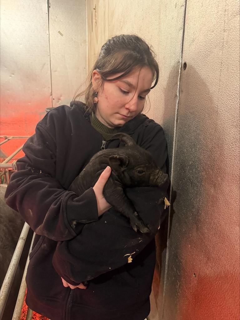 Student holding a piglet