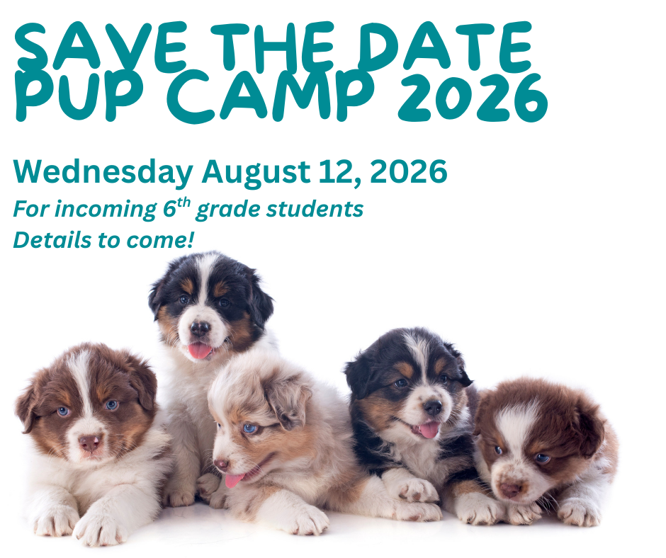 Pup Camp