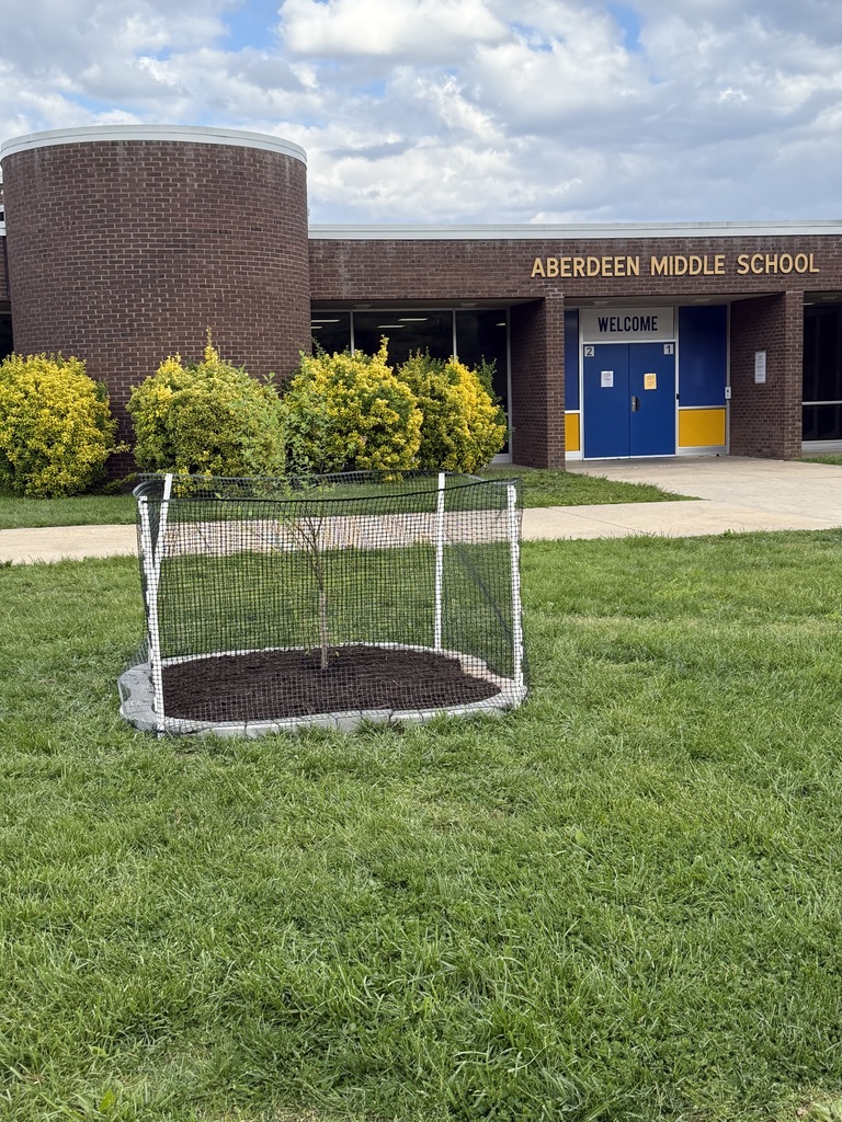 Green grass with teacher and students standing near a tree they planted.  Shows the green net and brown soil 