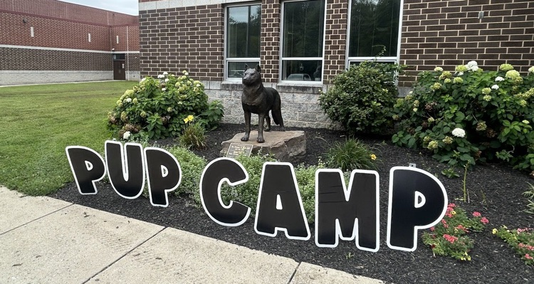 Outside of the school building is our Husky Statue that is decorated with a Pup Camp sign