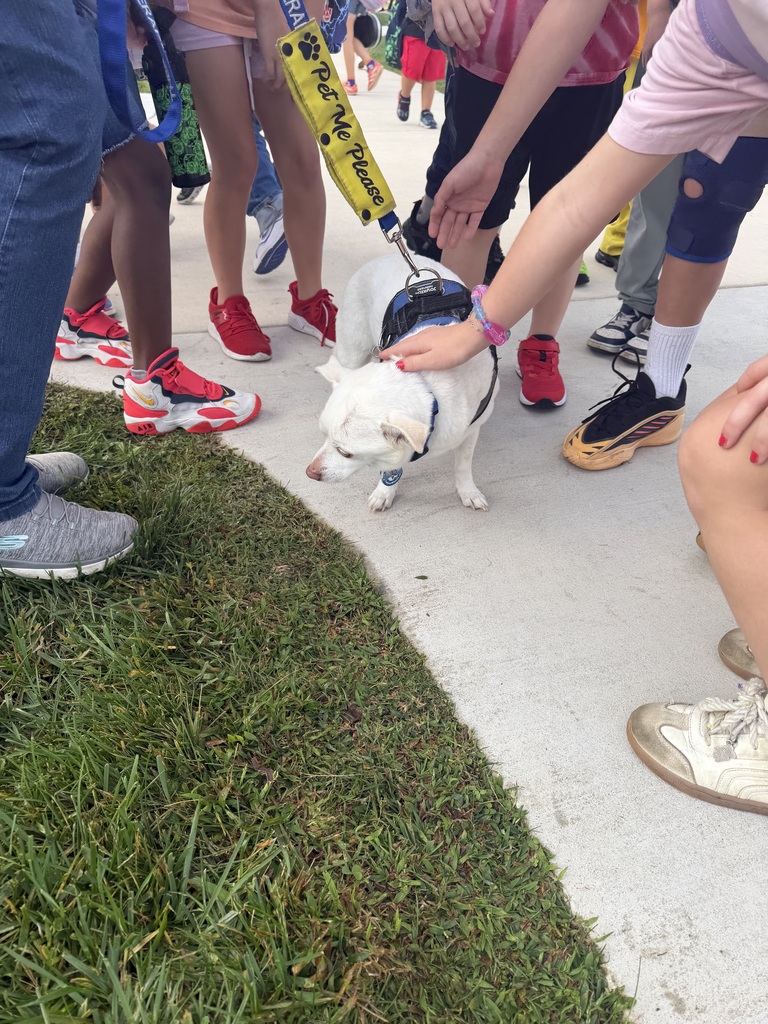 Rudy Pets on Wheels