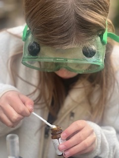 Students conduct a stream study.