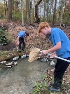 Students conduct a stream study.