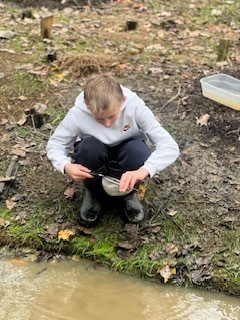 Students conduct a stream study.