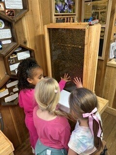 students with beehive