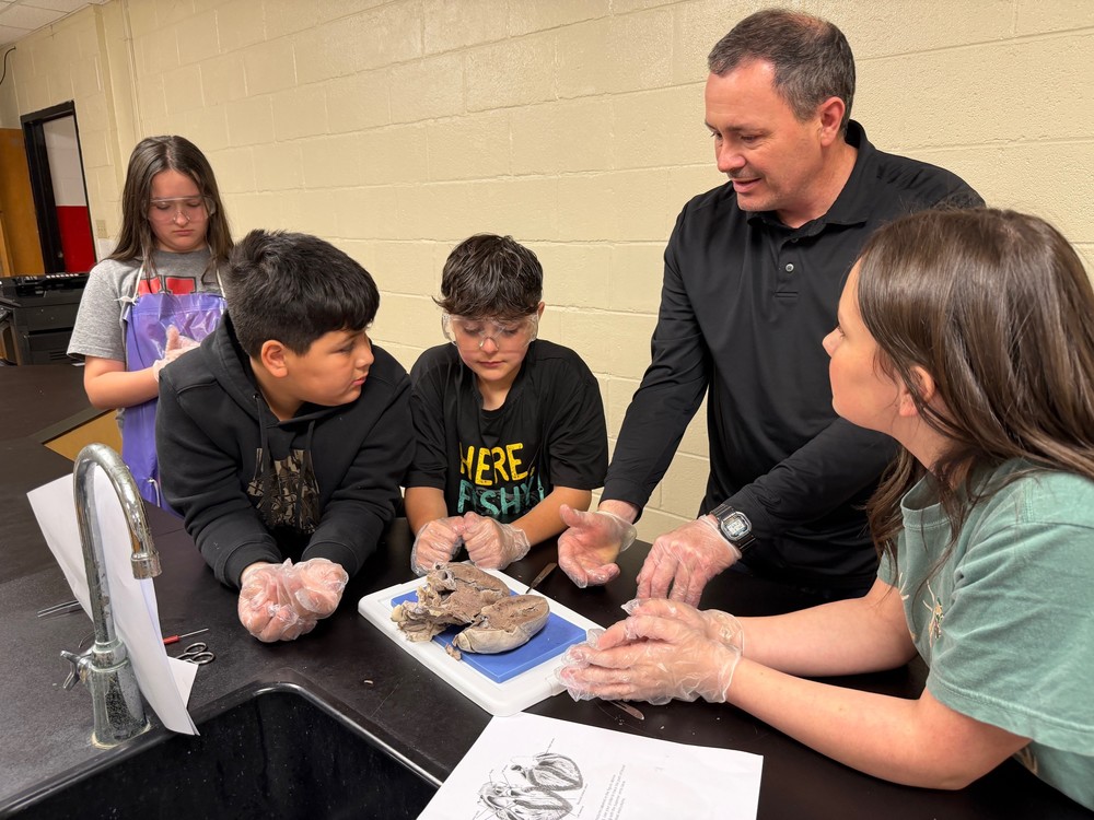 Pig heart dissection at JACES.