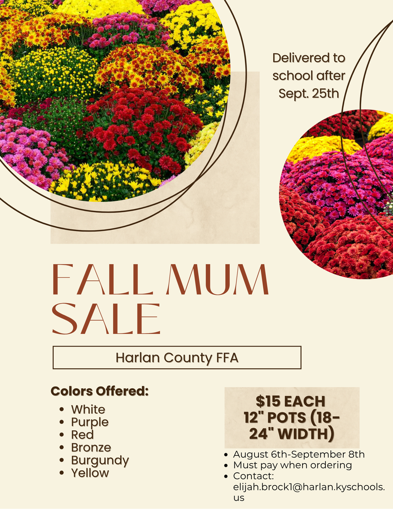 FFA Fall Mum Sale!