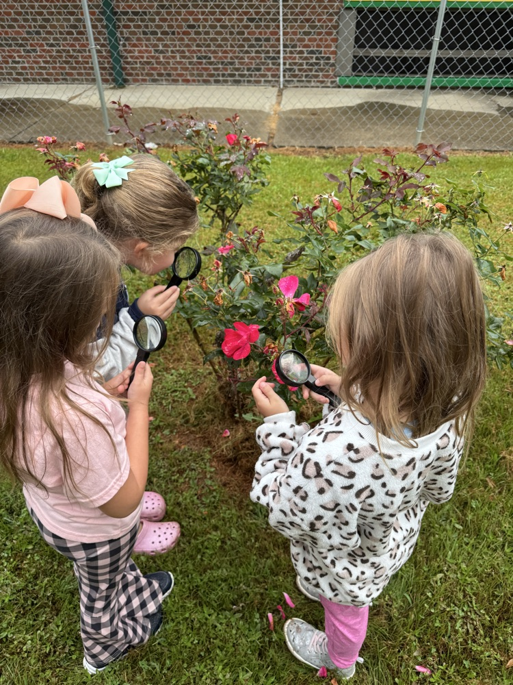 GHES kindergarteners went on a hike this morning and used their sense of sight to explore nature. They then created (with the help of Mrs. Free) a picture poster of all the things they saw.