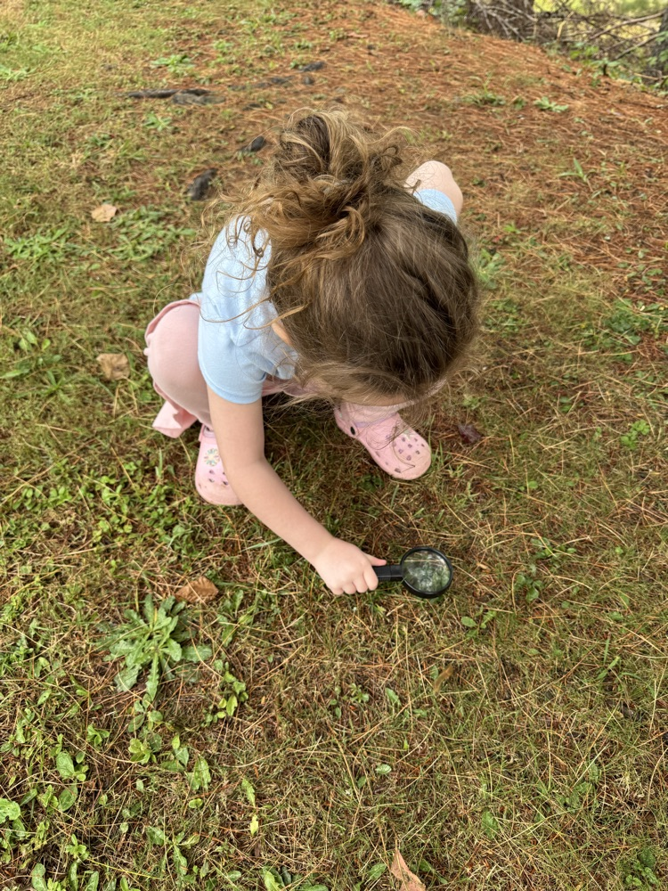 GHES kindergarteners went on a hike this morning and used their sense of sight to explore nature. They then created (with the help of Mrs. Free) a picture poster of all the things they saw.