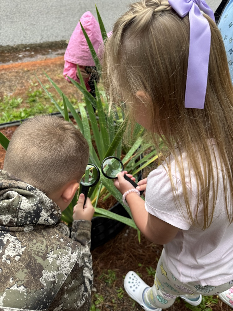GHES kindergarteners went on a hike this morning and used their sense of sight to explore nature. They then created (with the help of Mrs. Free) a picture poster of all the things they saw.