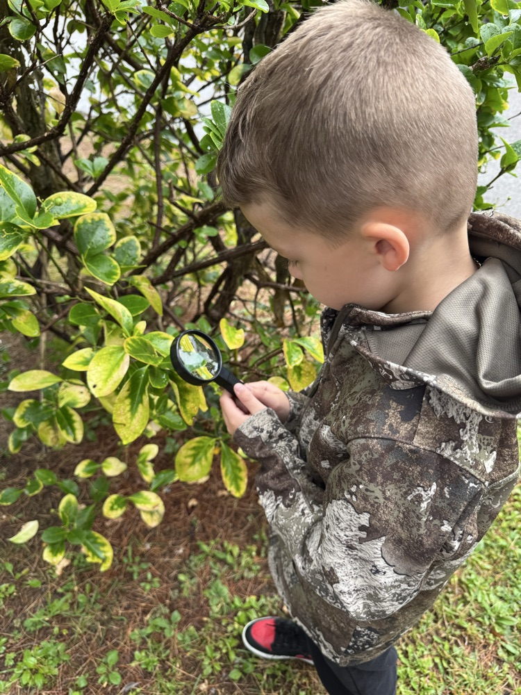 GHES kindergarteners went on a hike this morning and used their sense of sight to explore nature. They then created (with the help of Mrs. Free) a picture poster of all the things they saw.