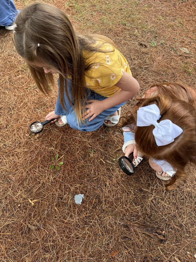 GHES kindergarteners went on a hike this morning and used their sense of sight to explore nature. They then created (with the help of Mrs. Free) a picture poster of all the things they saw.