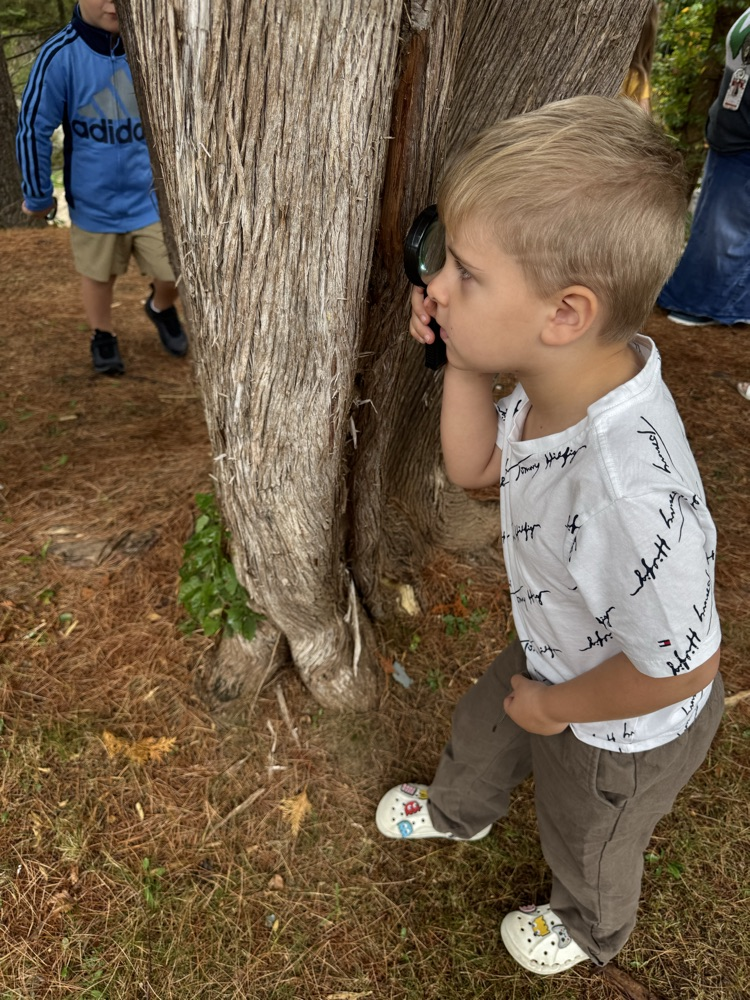 GHES kindergarteners went on a hike this morning and used their sense of sight to explore nature. They then created (with the help of Mrs. Free) a picture poster of all the things they saw.