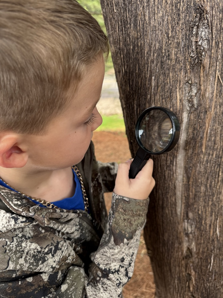 GHES kindergarteners went on a hike this morning and used their sense of sight to explore nature. They then created (with the help of Mrs. Free) a picture poster of all the things they saw.