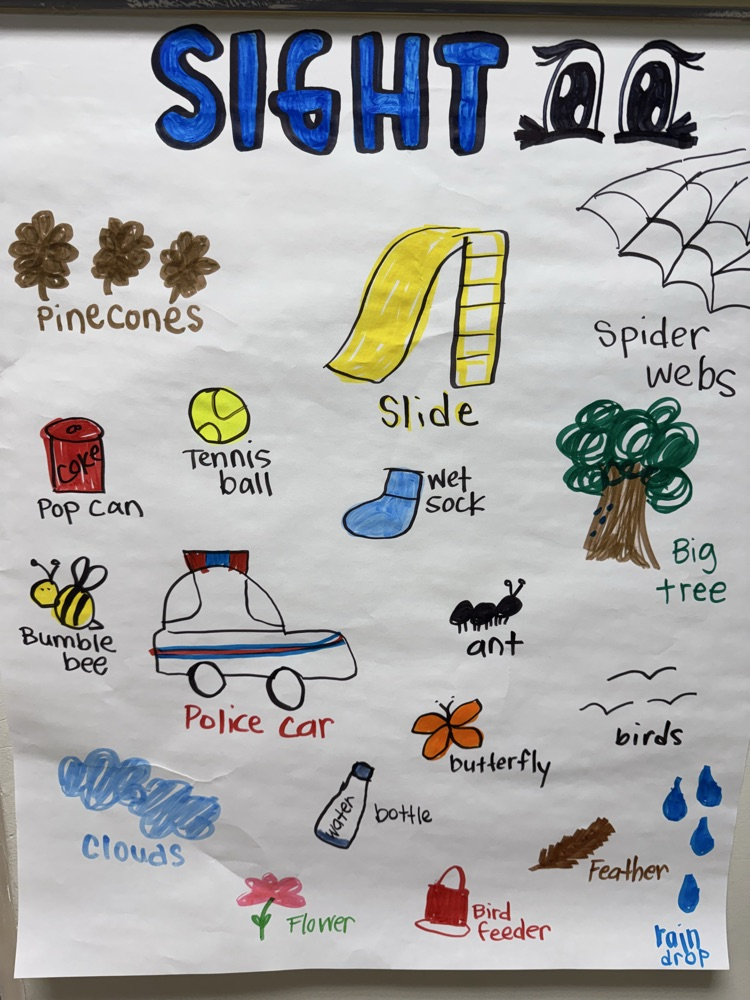 GHES kindergarteners went on a hike this morning and used their sense of sight to explore nature. They then created (with the help of Mrs. Free) a picture poster of all the things they saw.