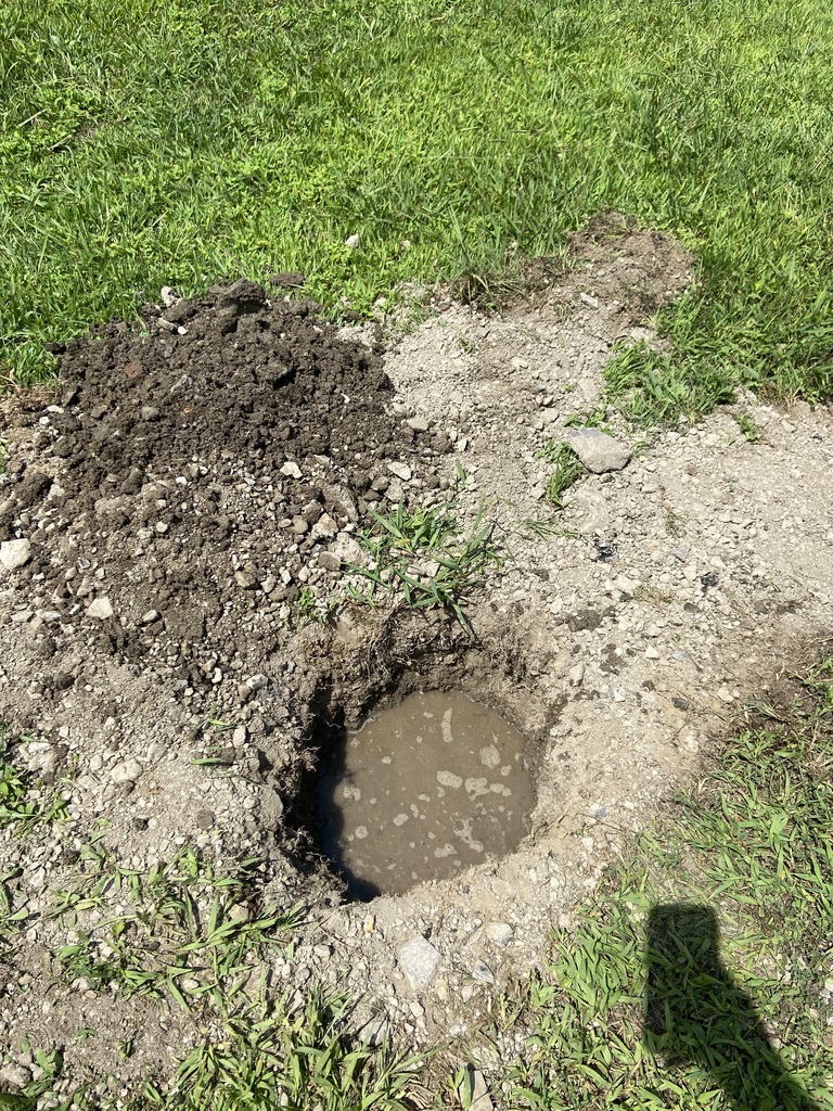 Agriculture