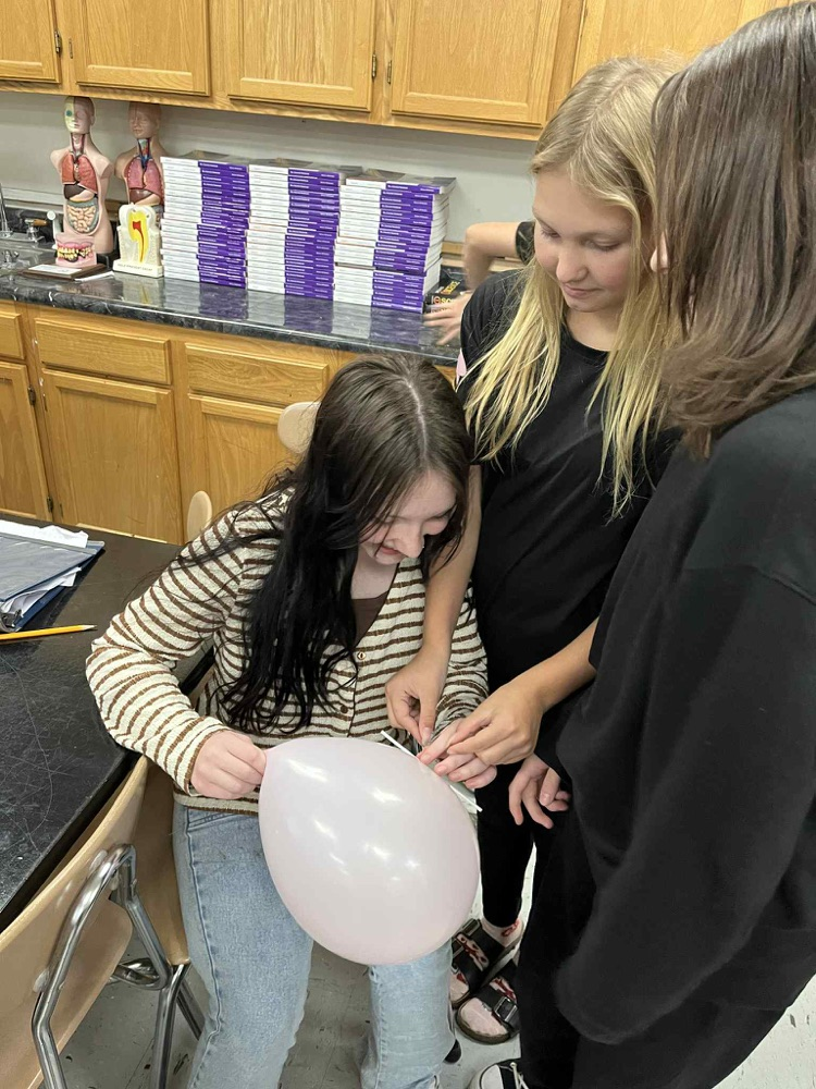 6th grade is demonstrating Newtons 3rd law motion using balloon rockets.