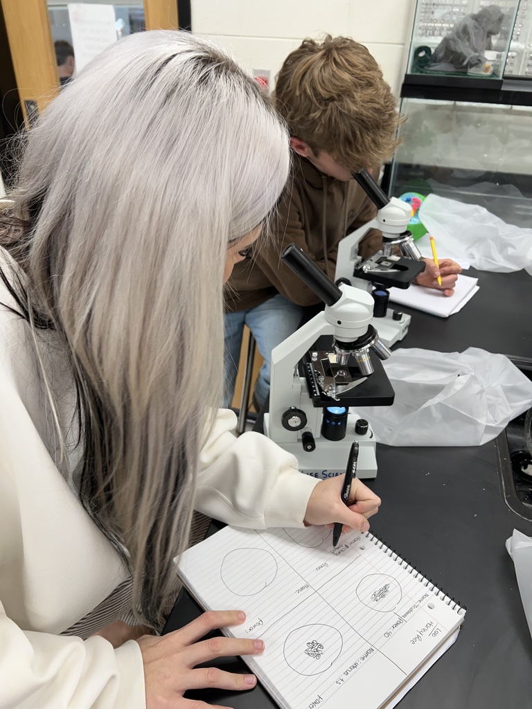 Sixth period Biology class, using microscopes to investigate different slides common to Biology. Students are to draw scale drawings of their field of view. 