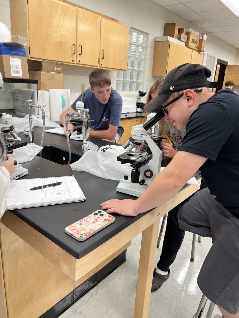 Sixth period Biology class, using microscopes to investigate different slides common to Biology. Students are to draw scale drawings of their field of view. 