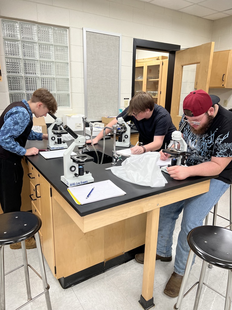 Sixth period Biology class, using microscopes to investigate different slides common to Biology. Students are to draw scale drawings of their field of view. 