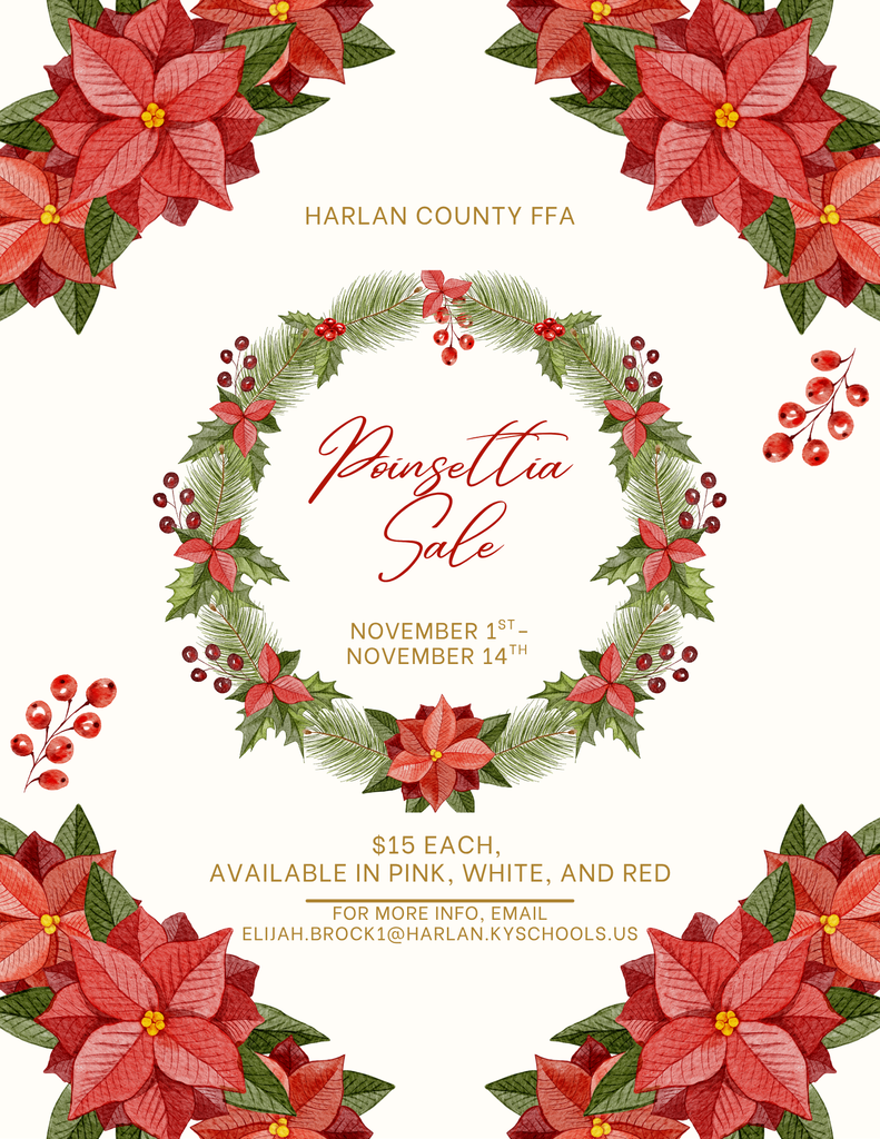 Harlan County FFA will be selling Poinsettia's beginning November 1st through November 14th. The Poinsettia's will be available in 3 colors, Red, Pink, and White, and they will come in 6.5-inch pots wrapped in gold foil. If you are interested in placing an order for poinsettias, please see an FFA Member, an Agriculture Student, or contact Mr. Elijah Brock at elijah.brock1@harlan.kyschools.us or call (606) 574-2020 extension 3546. We accept cash and checks made out to HCHS FFA. Poinsettia's will be delivered on or near December 1st, as the other delivery dates are during Harlan County Thanksgiving Break. Please note, these are a pre-sale and we will be ordering the approximate number of items that are pre-sold, so please order prior to November 14th.